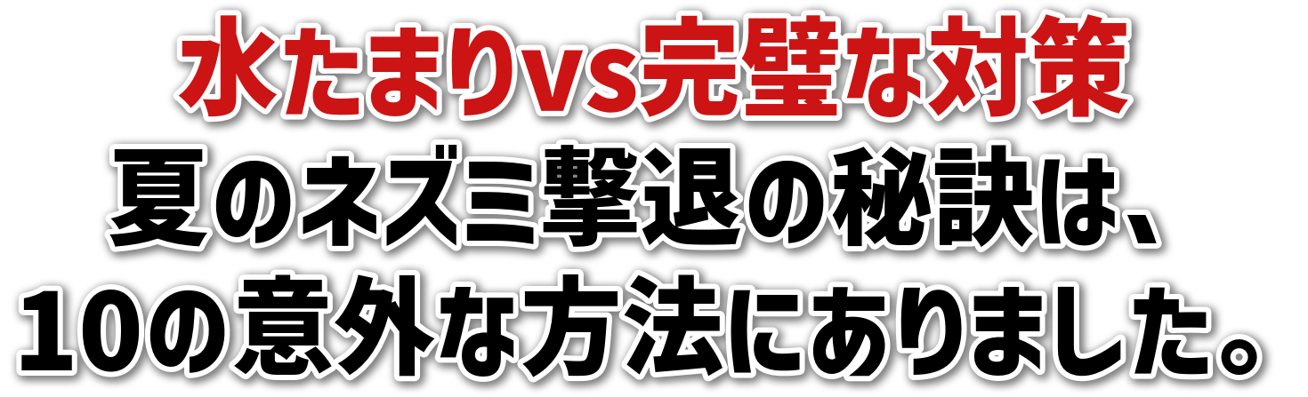 ܂vsȑ΍<br>ẴlY~ނ̔錍́A<br>10̈ӊOȕ@ɂ܂B