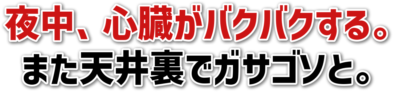 钆ASoNoNB<br>܂V䗠ŃKTS\ƁB